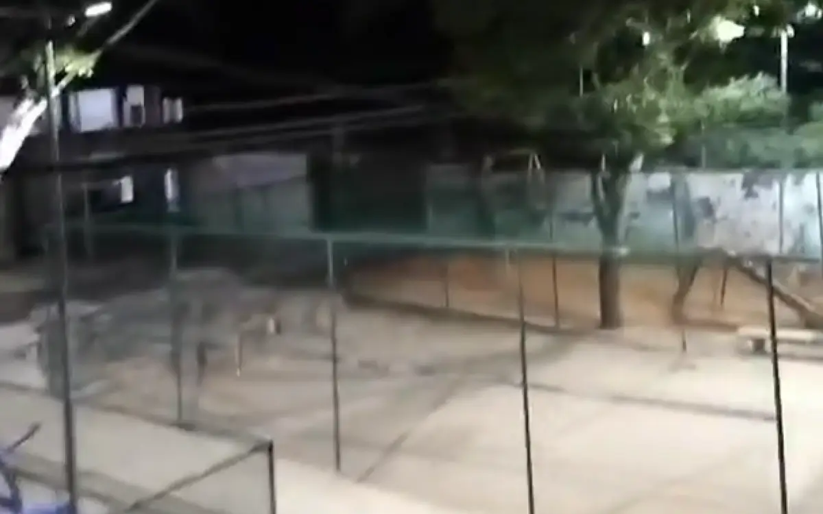 Moradores gravaram a intensidade do tiroteio no Largo do Correia