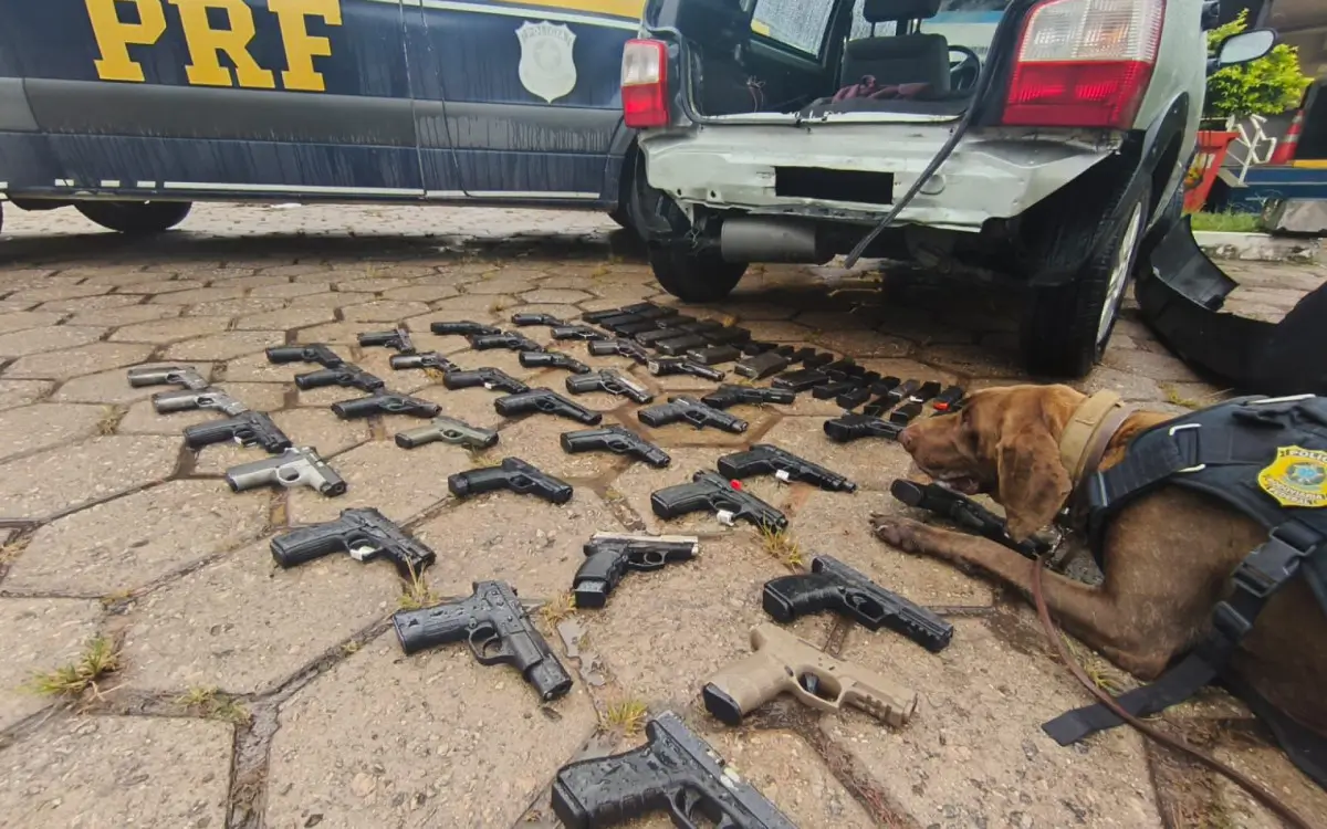 Armas foram encontradas com auxílio de cão farejador