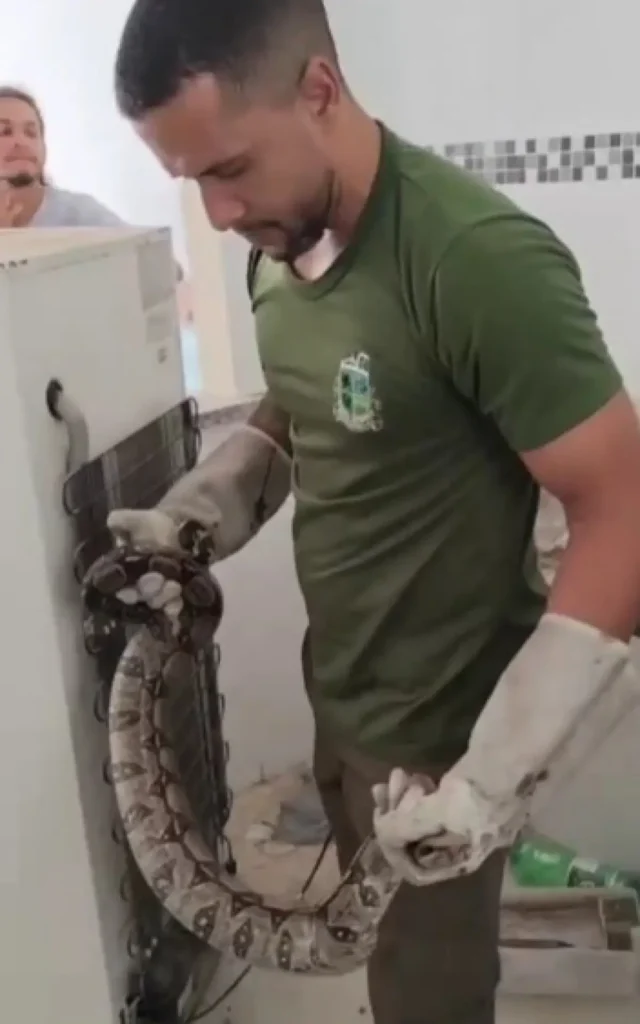 Guarda Ambiental de Saquarema