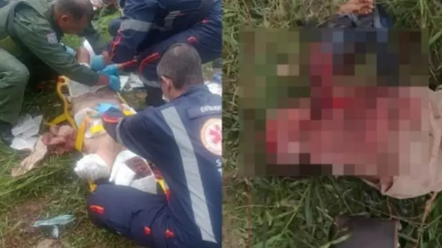 ataque de pitbull em São José dos Campos