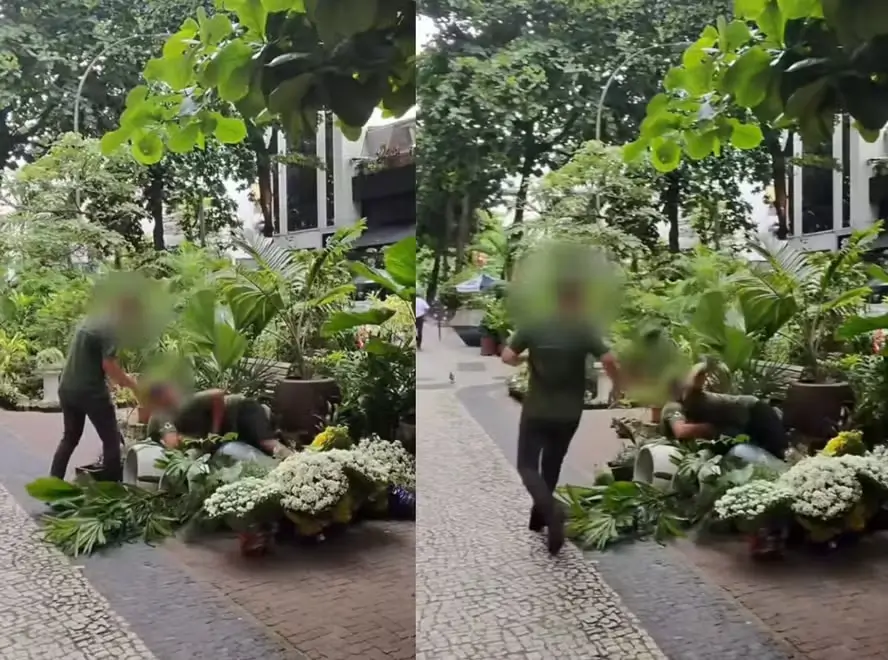 briga em floricultura de Ipanema