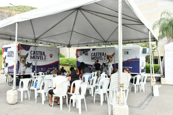 castração de animais em Nova Iguaçu