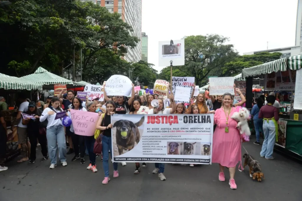 Manifestantes ocupam capitais do país em atos por justiça na morte do cão Orelha