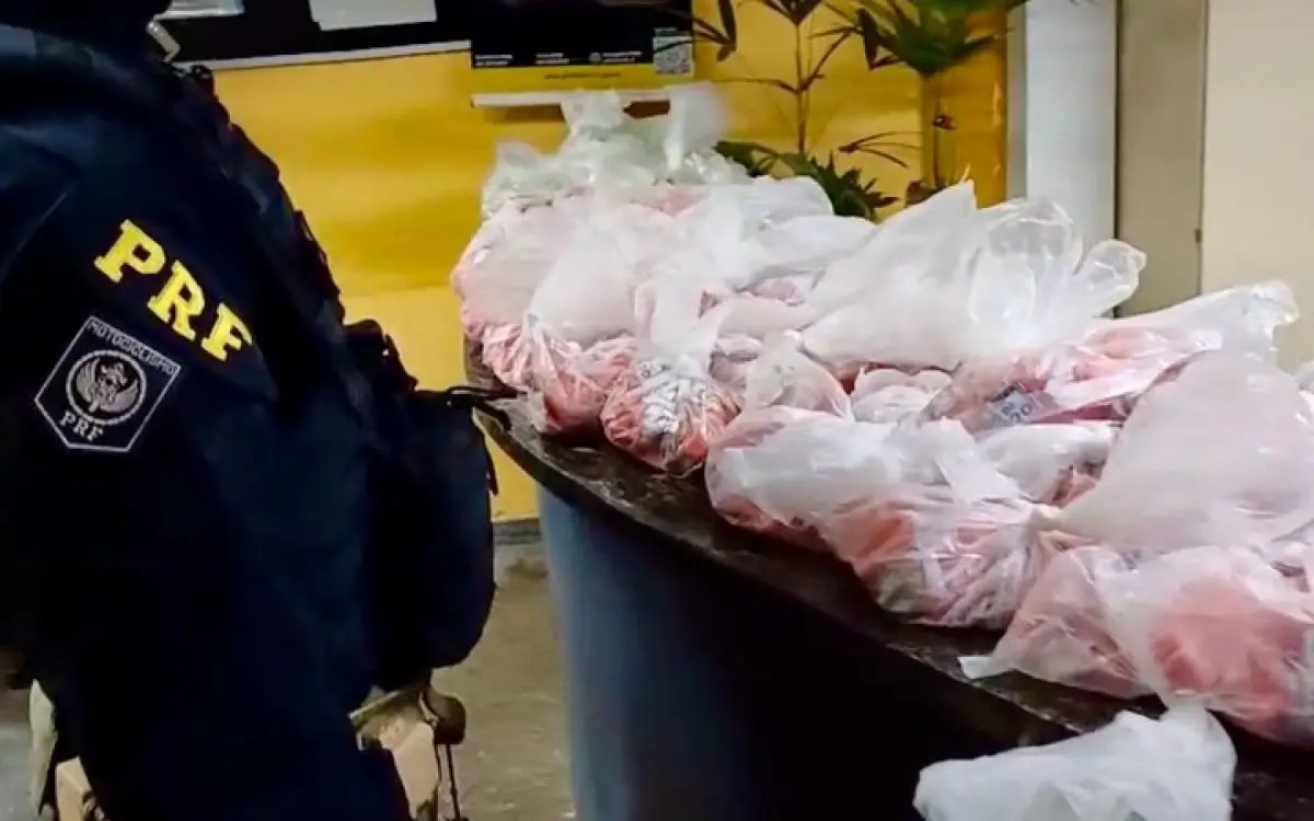 25 kg e dois quilos de skunk foram apreendidos pela Polícia Rodoviária Federal