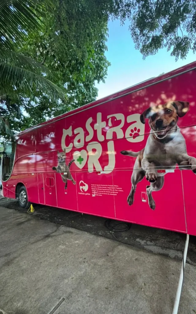 Castração gratuita em Jacarepaguá