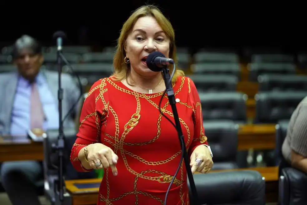 Deputada federal Gorete Pereira