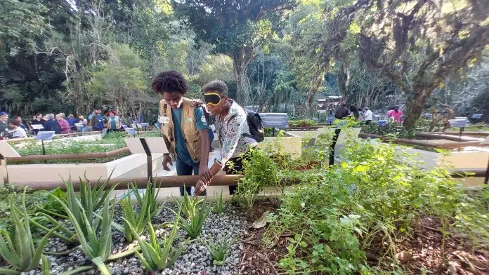 Jardim Botânico
