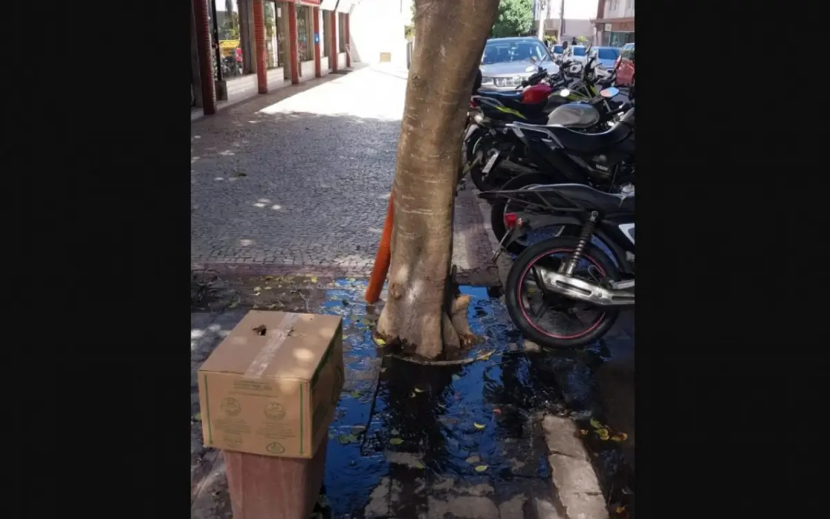 Esgoto a céu aberto em Cabo Frio