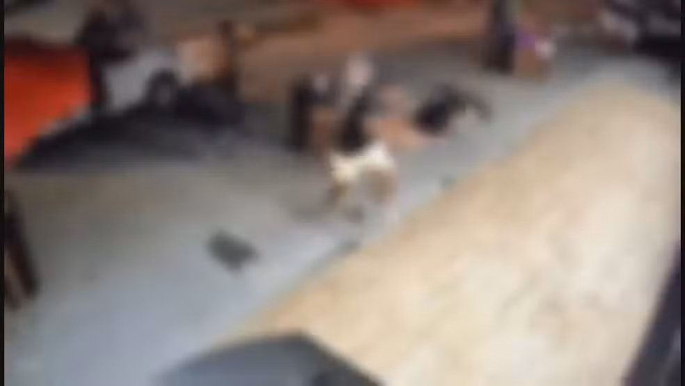 homem executado em bar em Japeri
