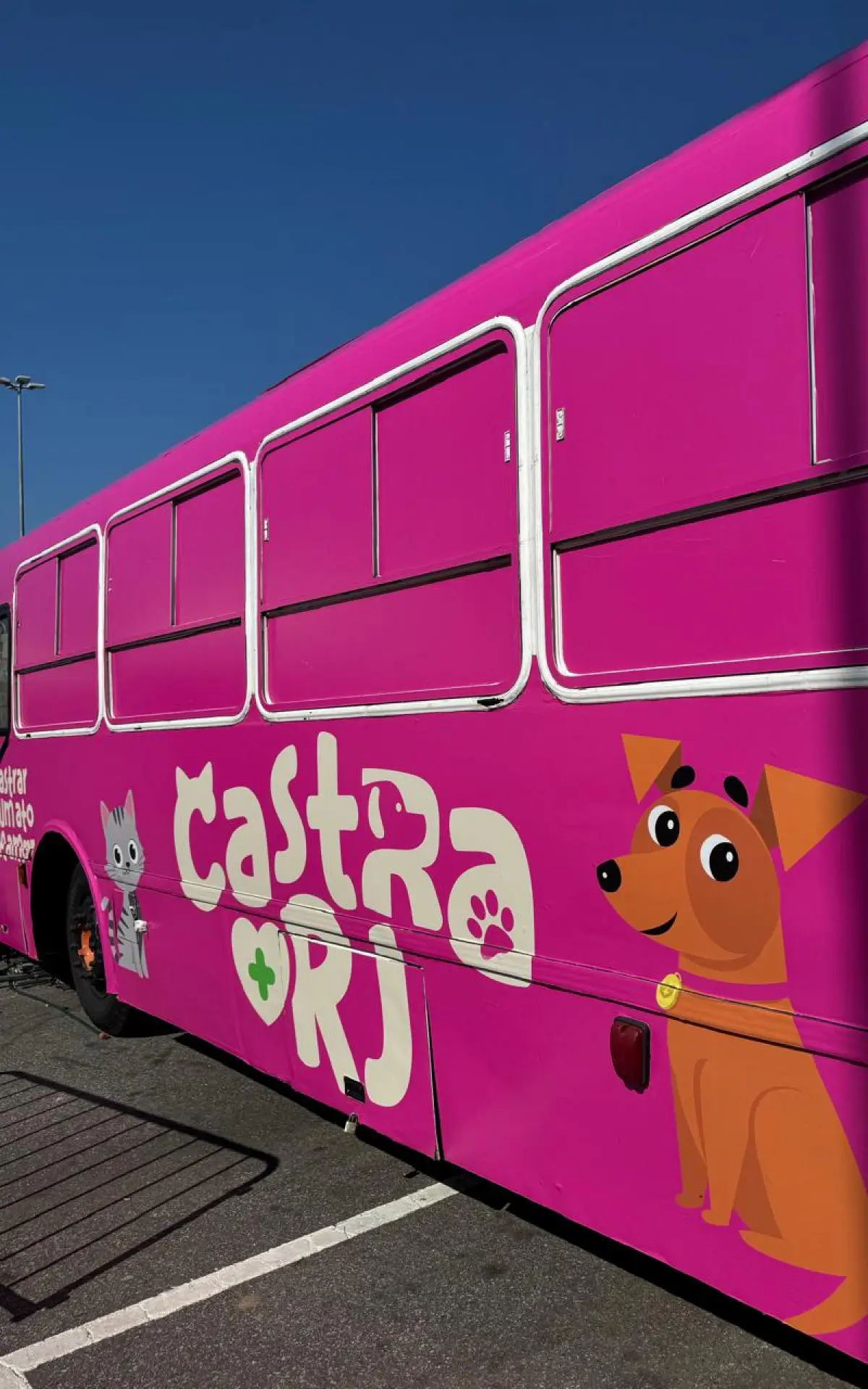 Castração gratuita em Itaguaí atende cães e gatos com até 300 cirurgias por dia pelo programa Castra Mais RJ
