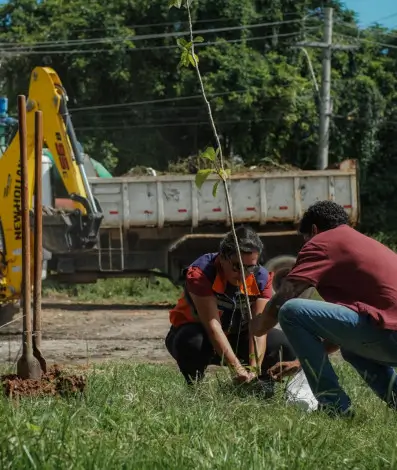 Reurbanização em Porto das Caixas