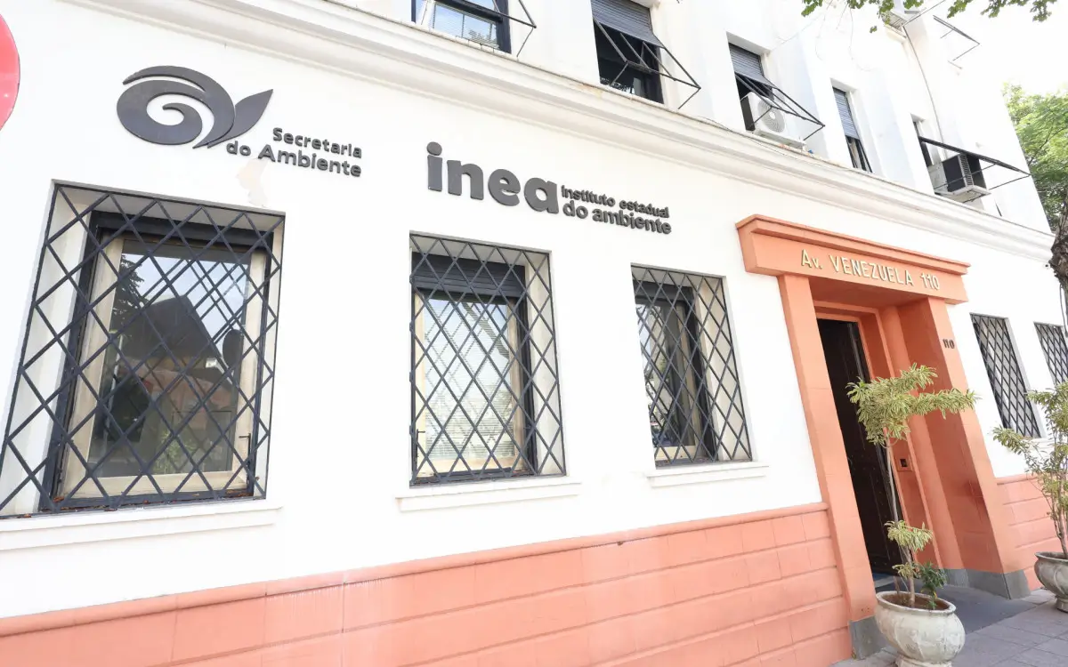 Inea