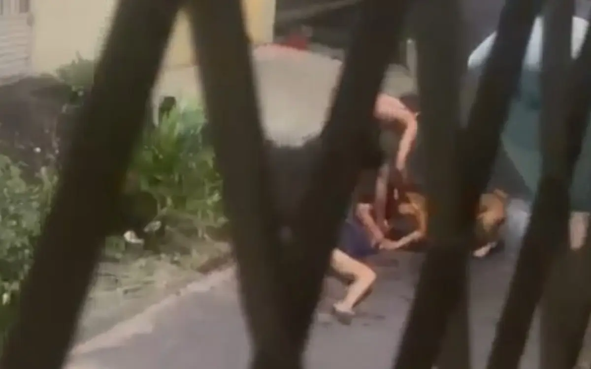 ataque de pitbull em Ramos