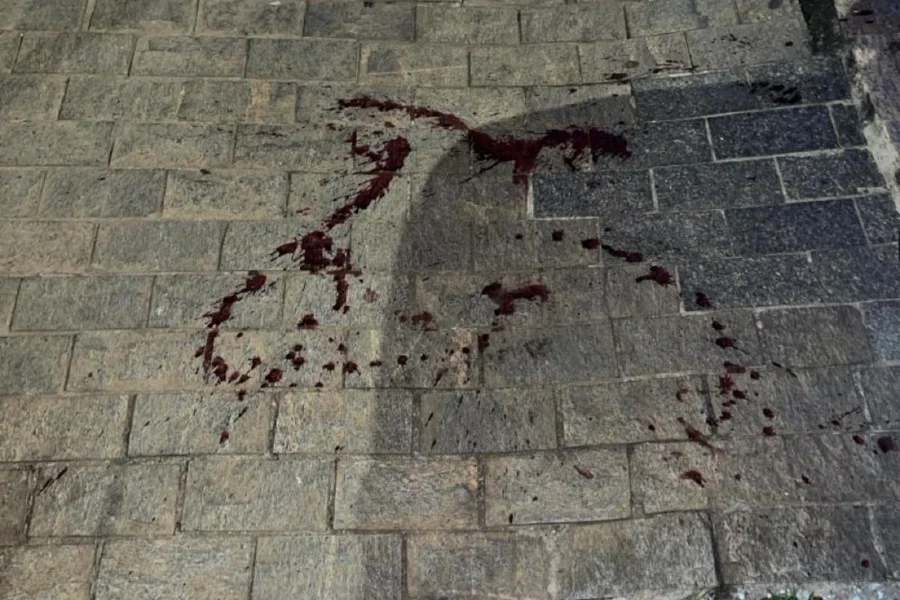 cadela morta a tiros por vizinho em SP