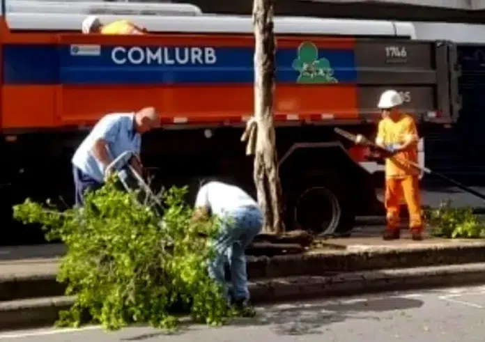 Ciclovia na Conde de Bonfim terá árvores replantadas,