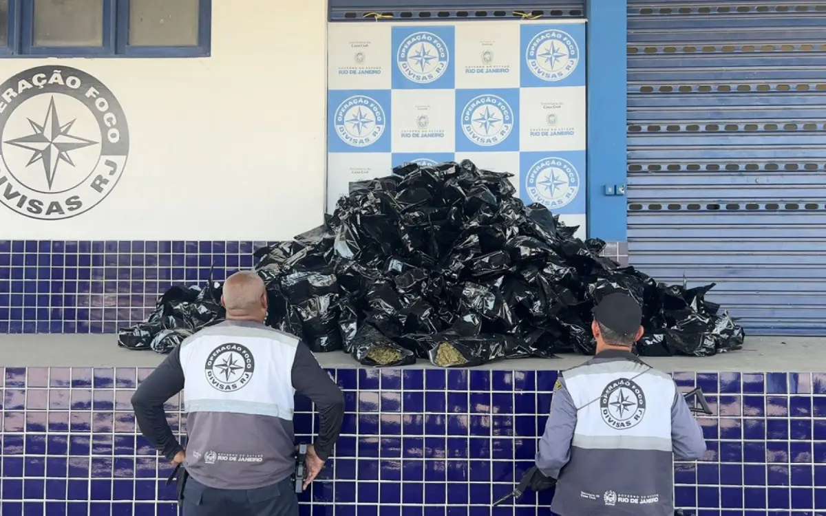 Droga estava armazenada em 463 embalagens prestas de plástico
