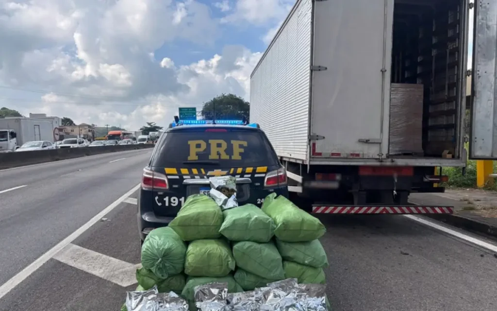 maconha apreendida na Dutra