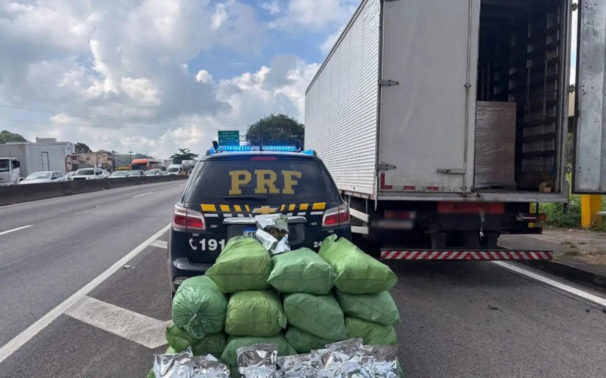 maconha apreendida na Dutra