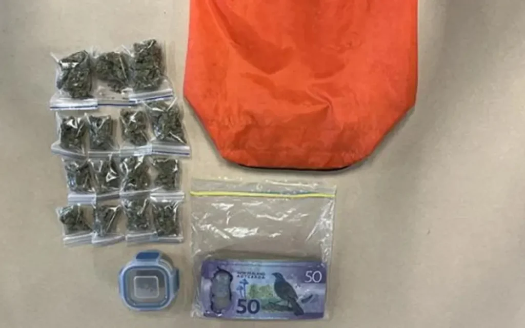 Sacola com maconha doada por engano