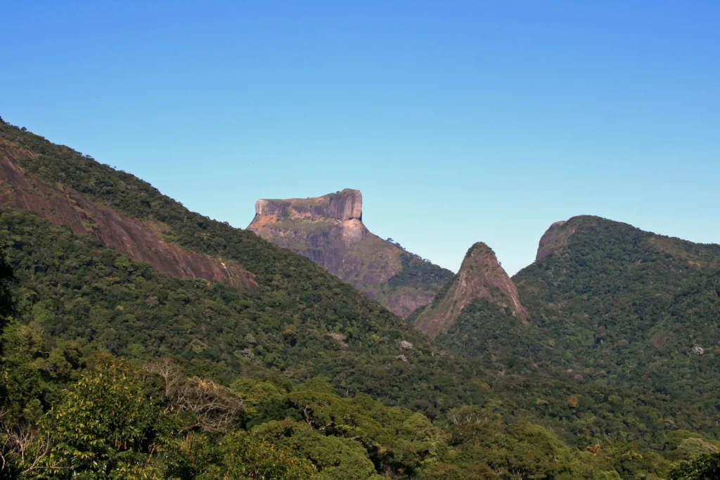 Floresta da Tijuca