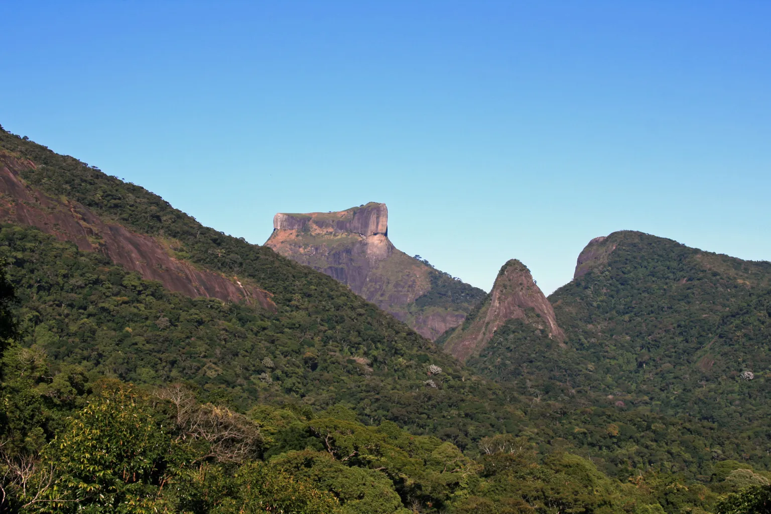 Floresta da Tijuca