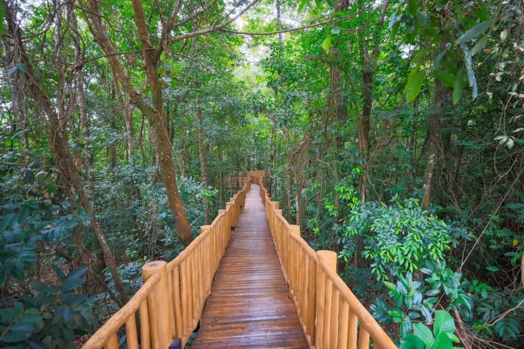Parqville Quaresmeira