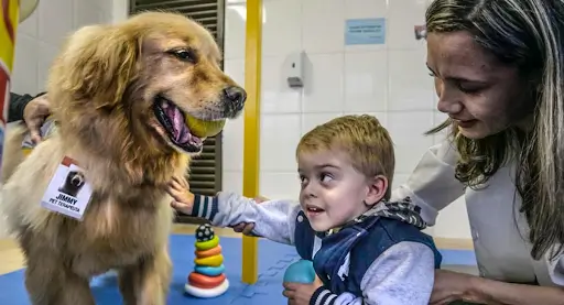 Serviços assistidos por animais