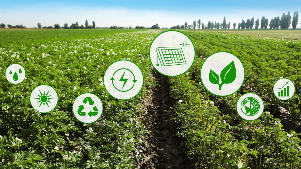 Sustentabilidade no agro
