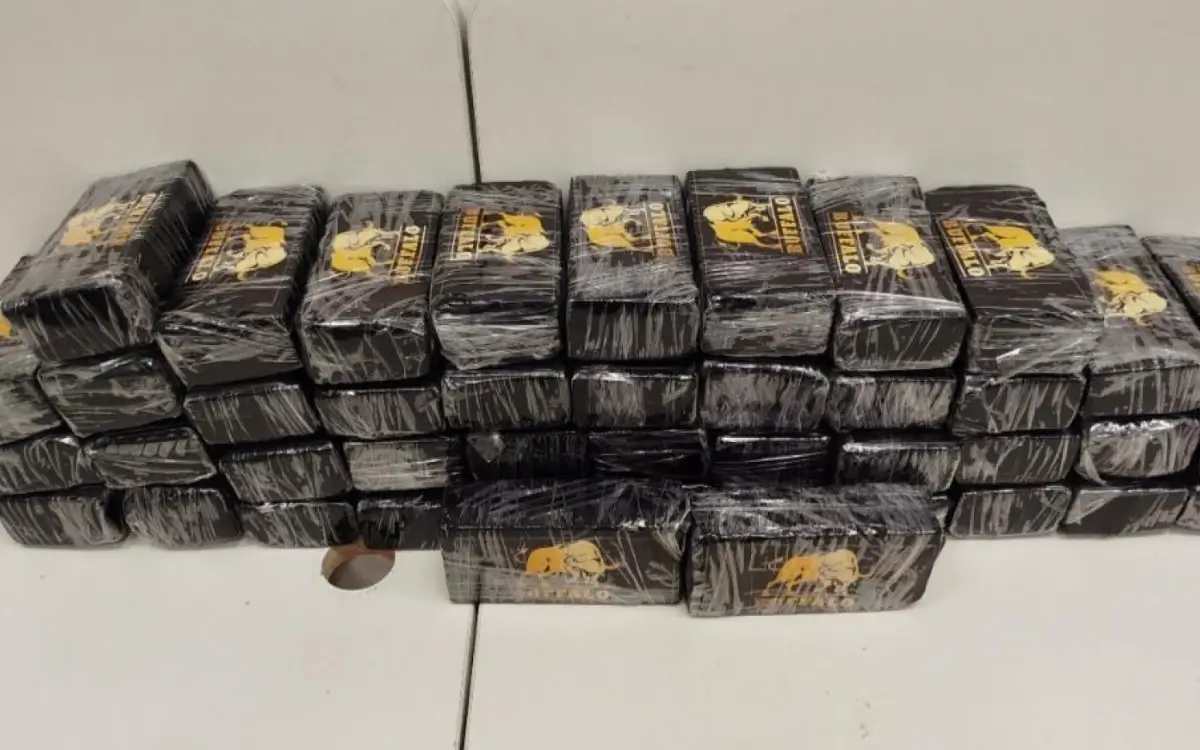 cocaína na Via Dutra
