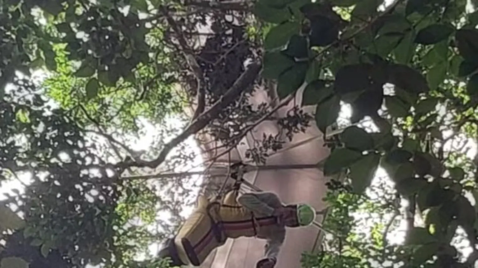 Piloto de asa-delta no Jardim Botânico