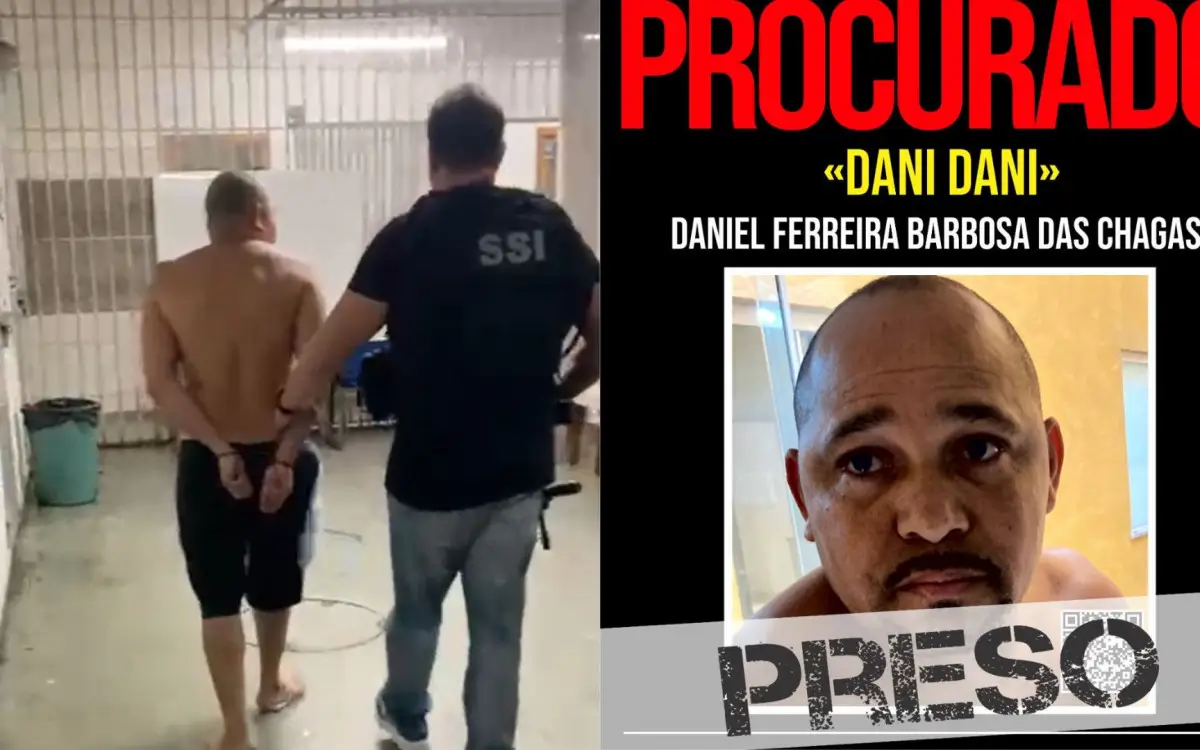 Dani Dani