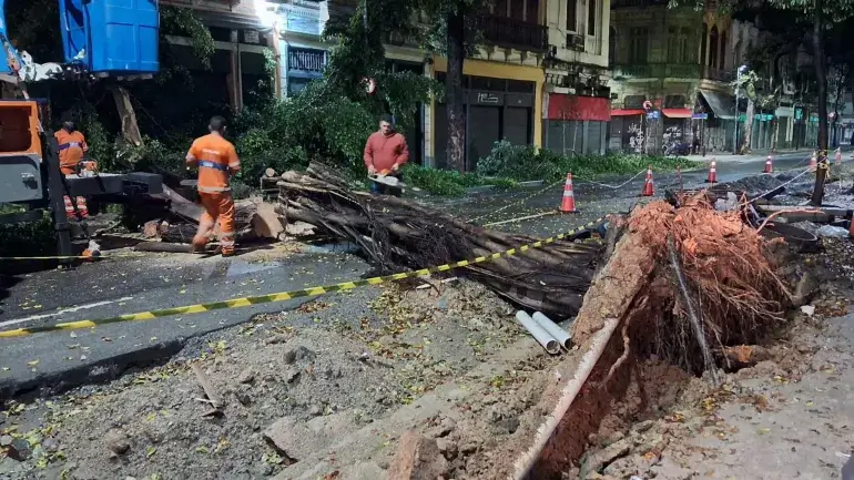 Queda de árvore na Rua da Carioca