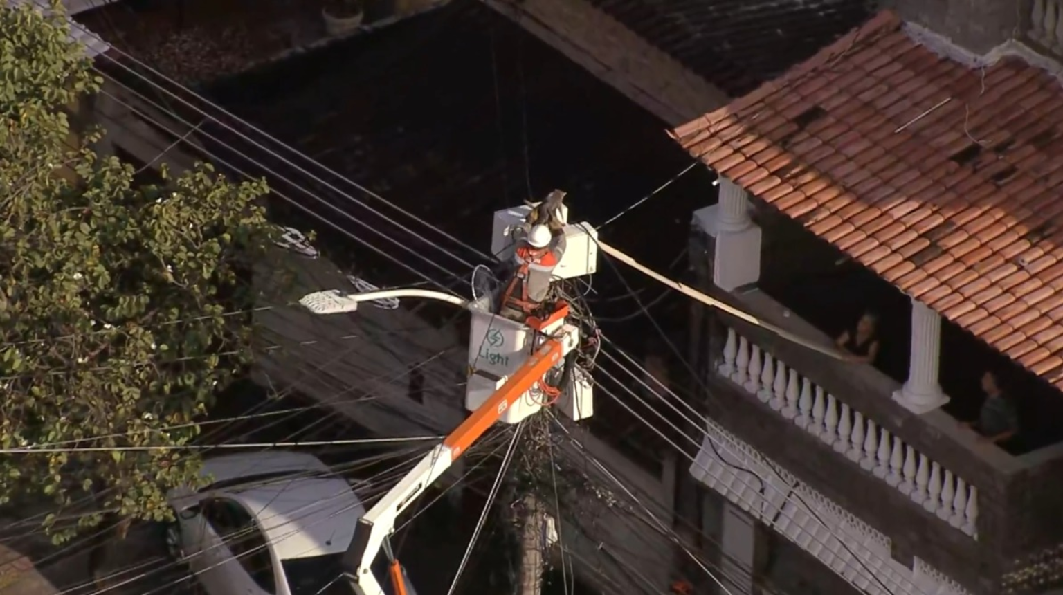 Gato preso em poste