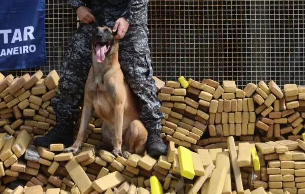 Cão policial Hulk