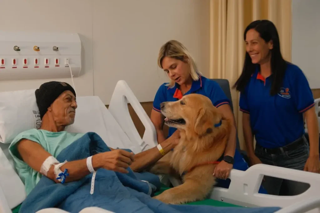 Cães de acolhimento