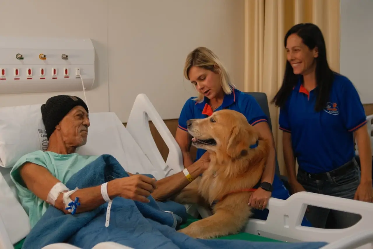 Cães de acolhimento