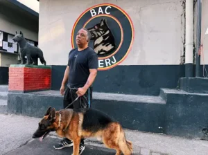 projeto Cãonexão