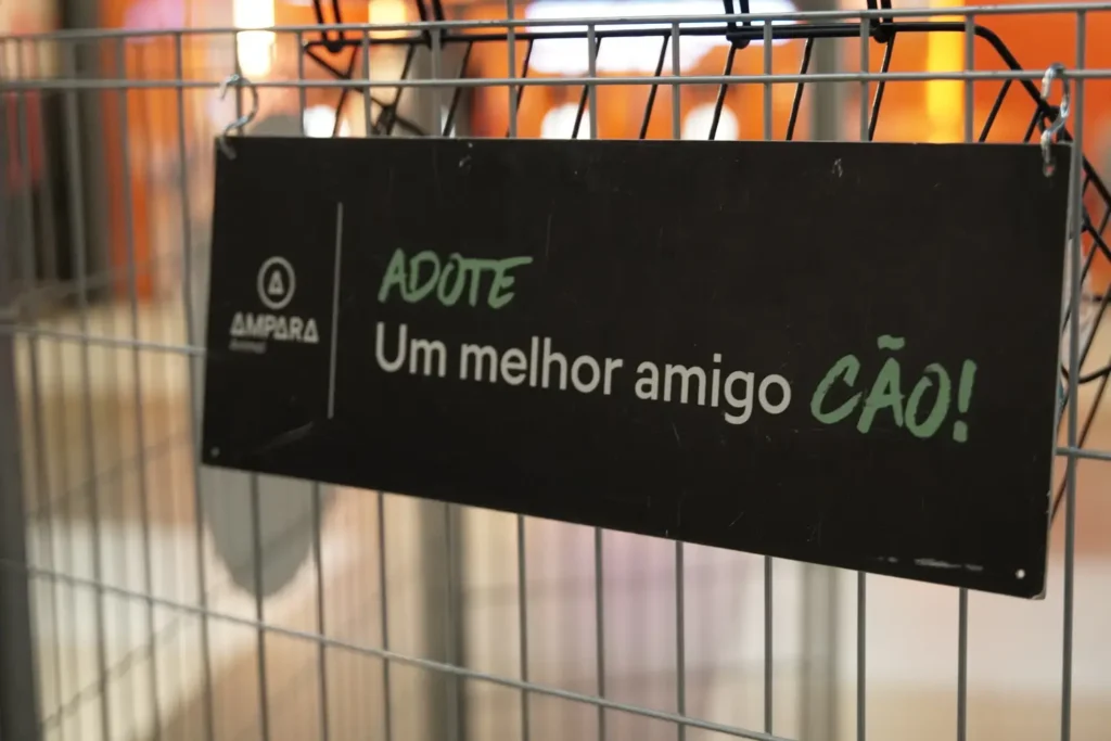 campanha de adoção responsável de cães e gatos