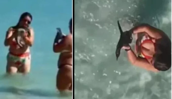 Mulher Filma Pinguim no Colo em Arraial do Cabo