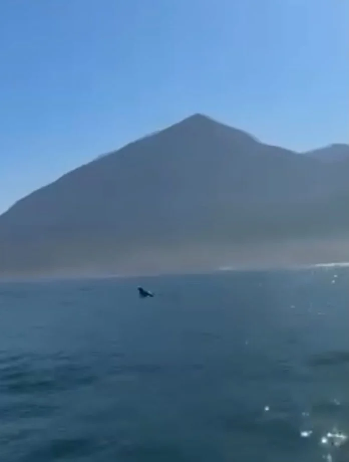 Salto de Tubarão