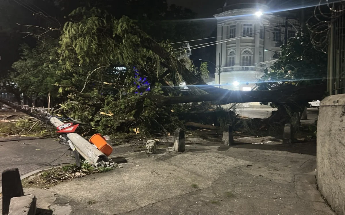Fortes Ventos Devastam o Rio