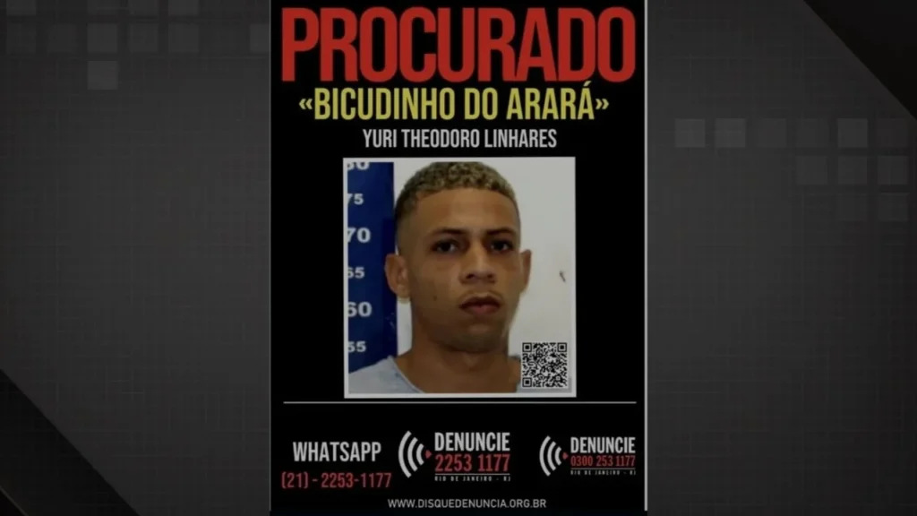 Bicudinho do Arará