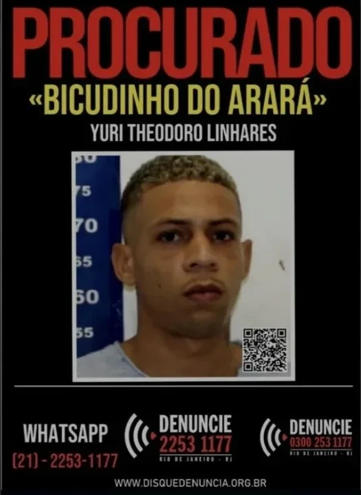 Bicudinho do Arará