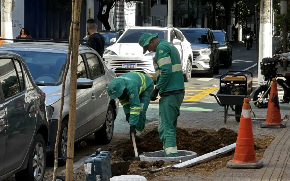 Árvores Retiradas em Icaraí