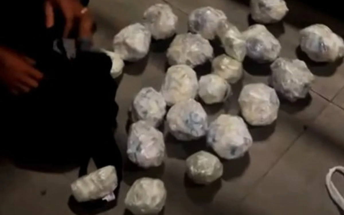 1.500 Porções de Drogas em Ônibus Interestadual em Jamapará