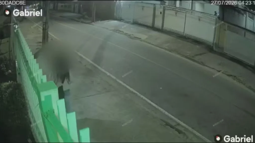 Mulher Reage a Assalto no Pechincha
