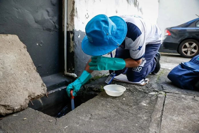 Combate ao mosquito da Dengue