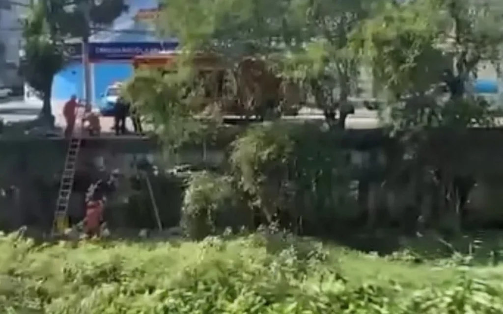 Corpos com Marcas de Tiros Encontrados no Anil