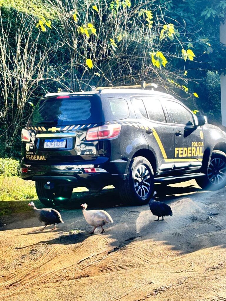 Operação Bicho Solto em Niterói