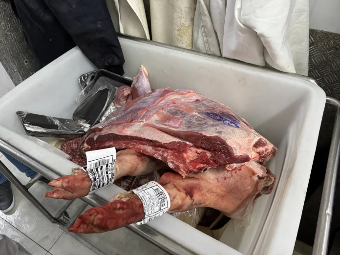 alimentos impróprios